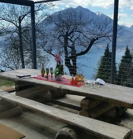 Nel Bosco Perledo